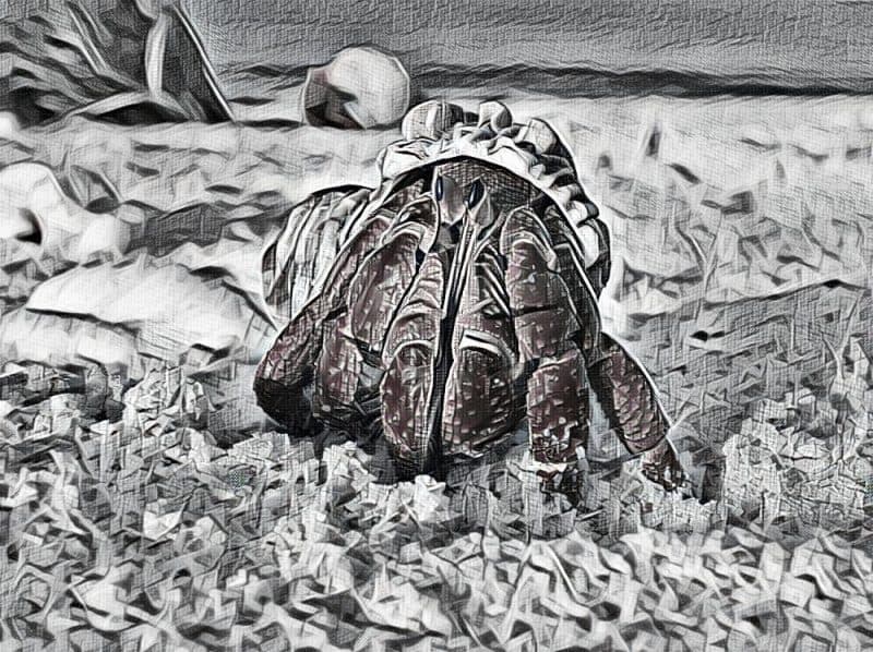 GandCrab Ransomware decryption tool