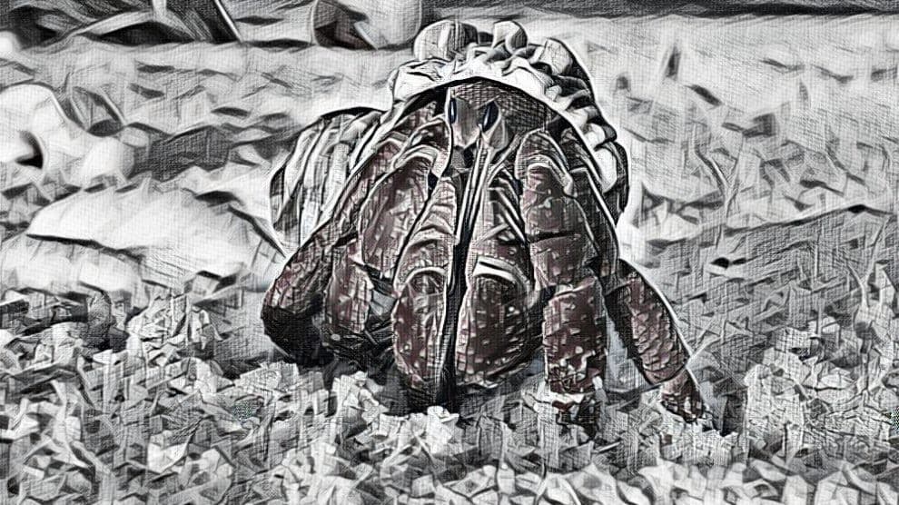 Bitdefender, Europol, Romanian Police, DIICOT team up for GandCrab decryption tool
